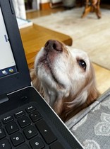 User post image