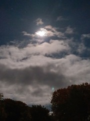 User post image