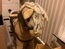 User post image