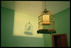 User post image