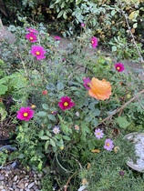 User post image
