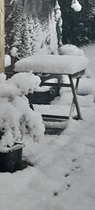 User post image