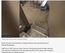 User post image