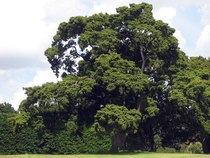 User post image