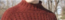 User post image