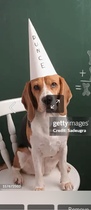 User post image