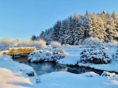 User post image