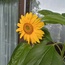 User post image