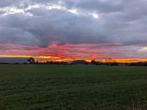 User post image