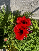 User post image