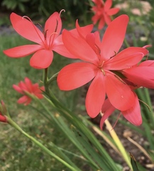 User post image