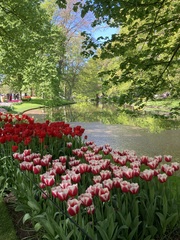 User post image