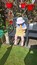 User post image