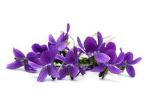 User post image