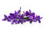 User post image