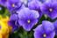 User post image