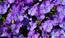 User post image
