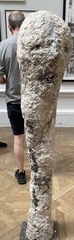 User post image