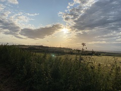 User post image