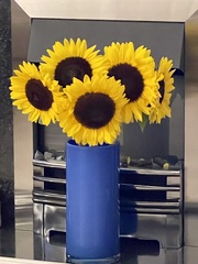 User post image