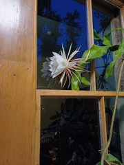 User post image