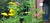 User post image