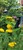 User post image