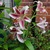 User post image