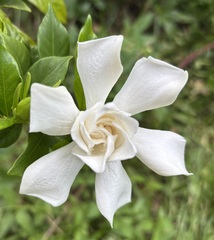 User post image