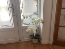 User post image