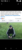User post image