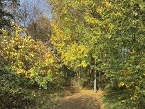 User post image