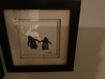 User post image