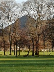 User post image