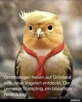 User post image