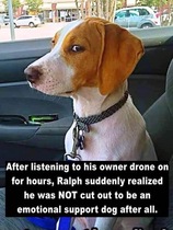 User post image