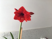 User post image