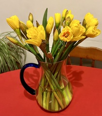 User post image