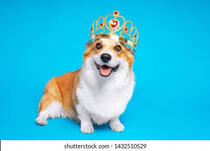 User post image