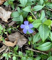 User post image