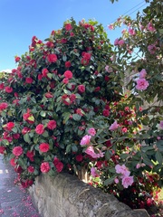 User post image