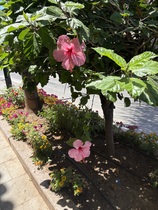 User post image