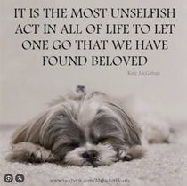 User post image