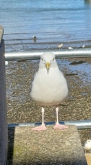 User post image