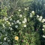 User post image