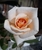 User post image