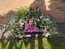 User post image