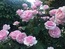 User post image