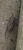 User post image
