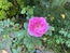 User post image